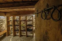 Chalet Berghaus Bartholomäberg - Homestays