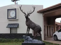 Days Inn by Wyndham Payson Hotels in Payson