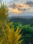 Pvt Villa Estate with Mtn Views  Pool in Ocho Rios - maisons de vacances