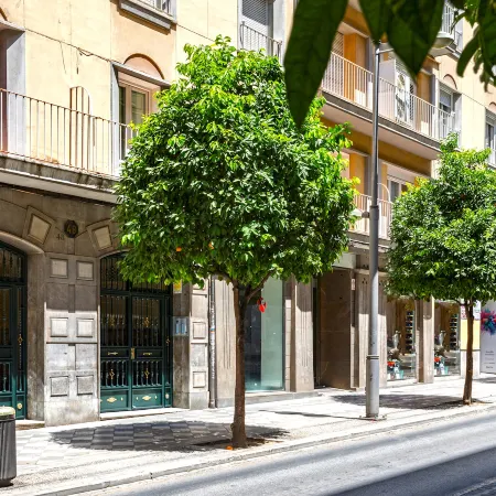 Genteel Home Recogidas II