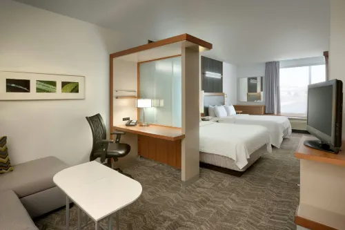 SpringHill Suites Rexburg - Kolam Renang