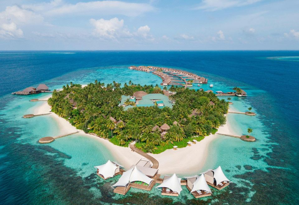 Фото: W Maldives