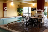 Hampton Inn & Suites Paducah - Haustierfreundliche