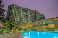 Sao Paulo Airport Marriott Hotel - Pools