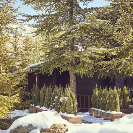 El Lodge, Ski & Spa