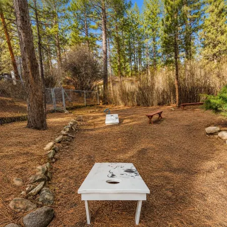 Dark Pine Retreat