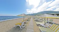 Mukha ORMANLI - Beach