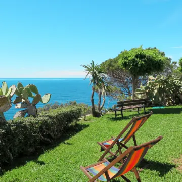 Oasis 1