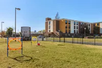 Comfort Inn Fort Mill Amusement Park at Carowinds Blvd - parking