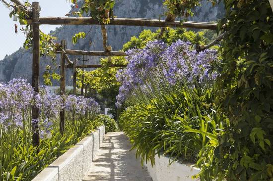Suite Time Capri Villa La Pergola-Capri Updated 2022 Room Price-Reviews &  Deals | Trip.com