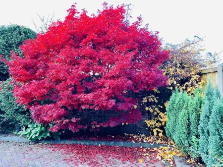 Ideal for Alton Towers, Staffordshire and the Peak District Отели рядом с достопримечательностью «Alton Towers Waterpark»