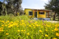 Cute Yellow Handmade House with Garden