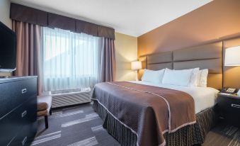 Holiday Inn Express & Suites ST. Paul - Woodbury