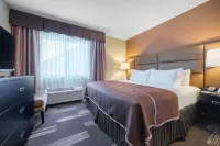 Holiday Inn Express & Suites ST. Paul - Woodbury