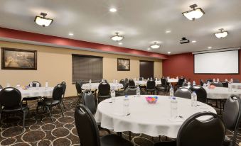 Country Inn & Suites by Radisson, Little Falls, MN