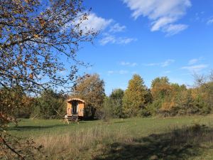 Un Chemin en Quercy