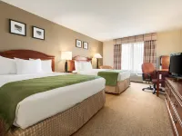 ガーナー ホテル パデューカ ウエスト by IHG パドゥーカのホテル