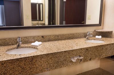 Other Drury Inn & Suites Detroit Troy Photo