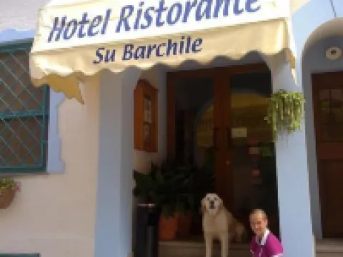 ซู บาร์คิเล โรงแรมในOrosei