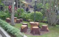 Insumo Palace Hotels & Resorts Hotel a Kedak