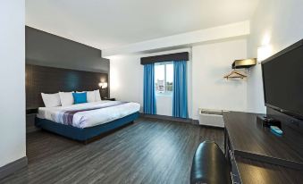 a large bedroom with a king - sized bed , hardwood floors , and a television mounted on the wall at Comfort Hotel