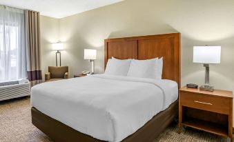 Comfort Inn & Suites St Pete - Clearwater International Airport