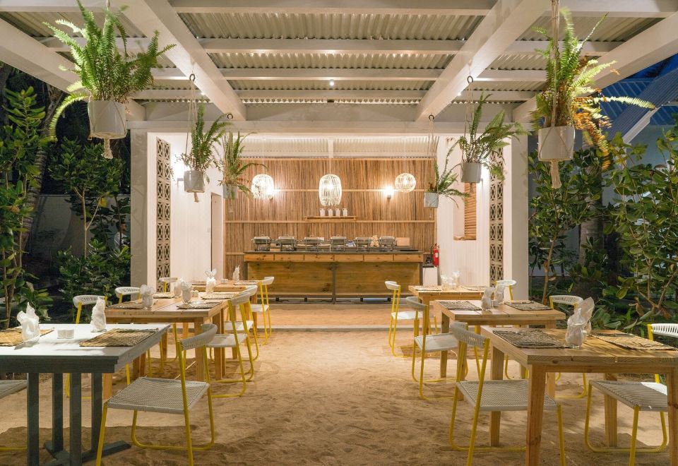 2. 트로피칼 애티튜..