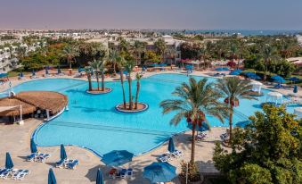 Desert Rose Resort