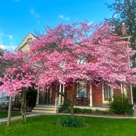Brickhouse Inn B&B