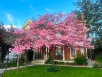 Brickhouse Inn B&B Hotels in Gettysburg