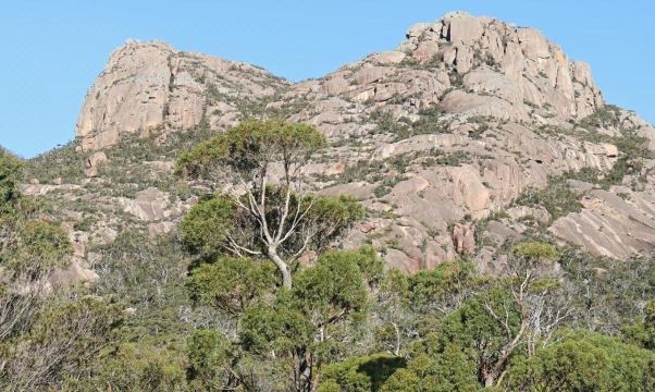 Bicheno Holiday Rentals