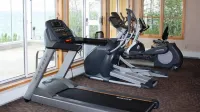Bluefin Bay on Lake Superior - Gym