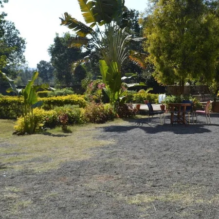 Tigers Villa Resort Bandhavgarh