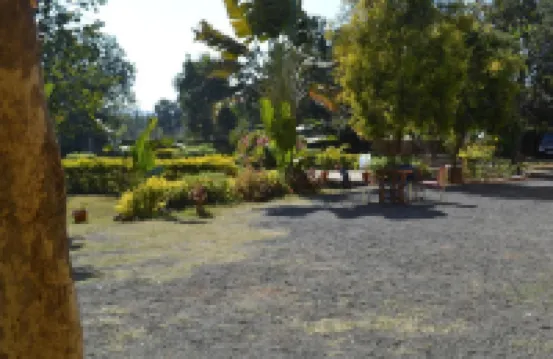 Tigers Villa Resort Bandhavgarh
