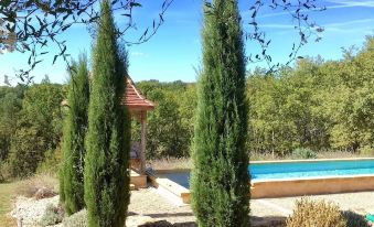 a lush green landscape with tall cypress trees , a swimming pool , and a gazebo in the background at Le Lion d'Or en Perigord