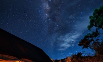 Makini Bush Camp, Yala