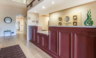 Comfort Inn Lexington South