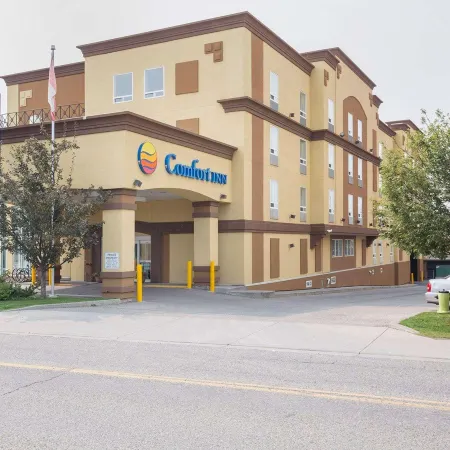 Comfort Inn & Suites University