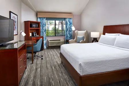 Hilton Garden Inn Valencia at Six Flags