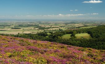a vast landscape of rolling hills with vibrant purple flowers and green fields under a clear blue sky at The Hood Arms