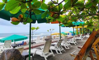 a beach scene with several lounge chairs and umbrellas on the sand , providing a relaxing atmosphere at Hotel Estero y Mar