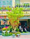Duy Canh Homestay Hotels in Côn Đảo