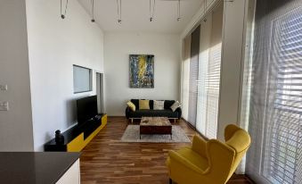 Superb Loft in the Center of Lausanne