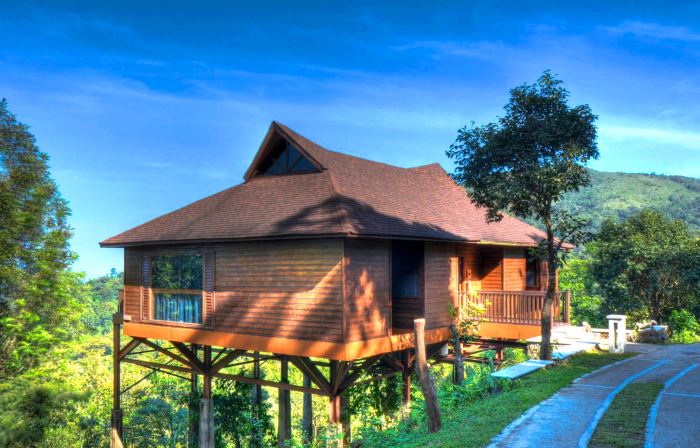 The Tamara Coorg