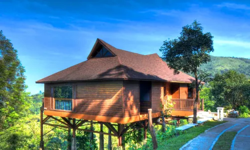 The Tamara Coorg