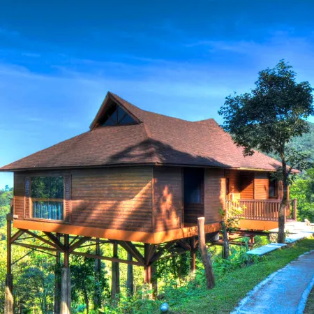 The Tamara Coorg