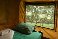 Red Rocks Rwanda - Safari Tent Twin