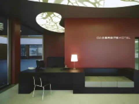 Dasbreitehotel am Rhein