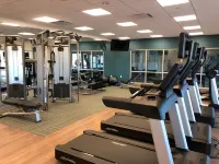 Holiday Inn Express & Suites SPRINGFIELD NORTH by IHG - Gym