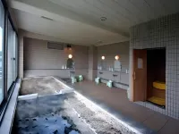 New Station Hotel Hotels in Isahaya